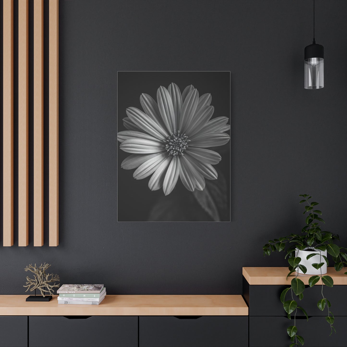 Radiant Daisy in Shadow Wall Art & Canvas Prints