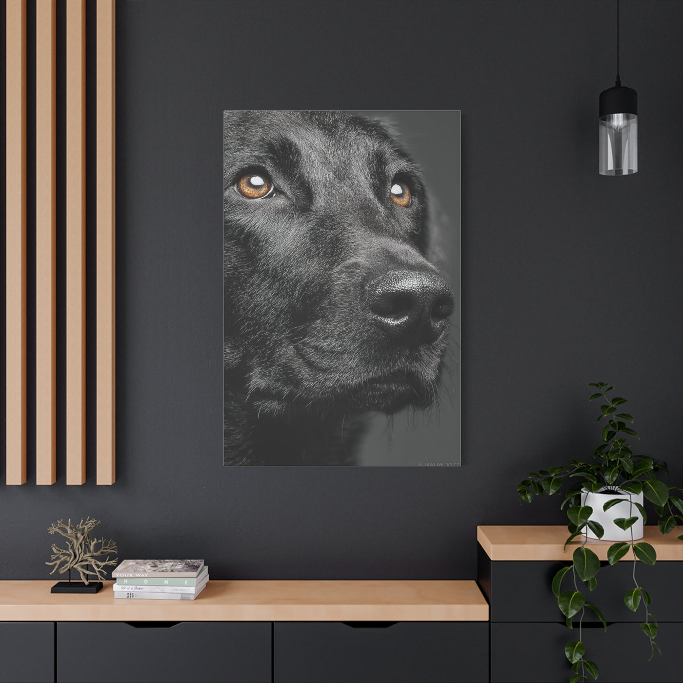 Black Labrador Fine Art Close-Up Wall Art & Canvas Print