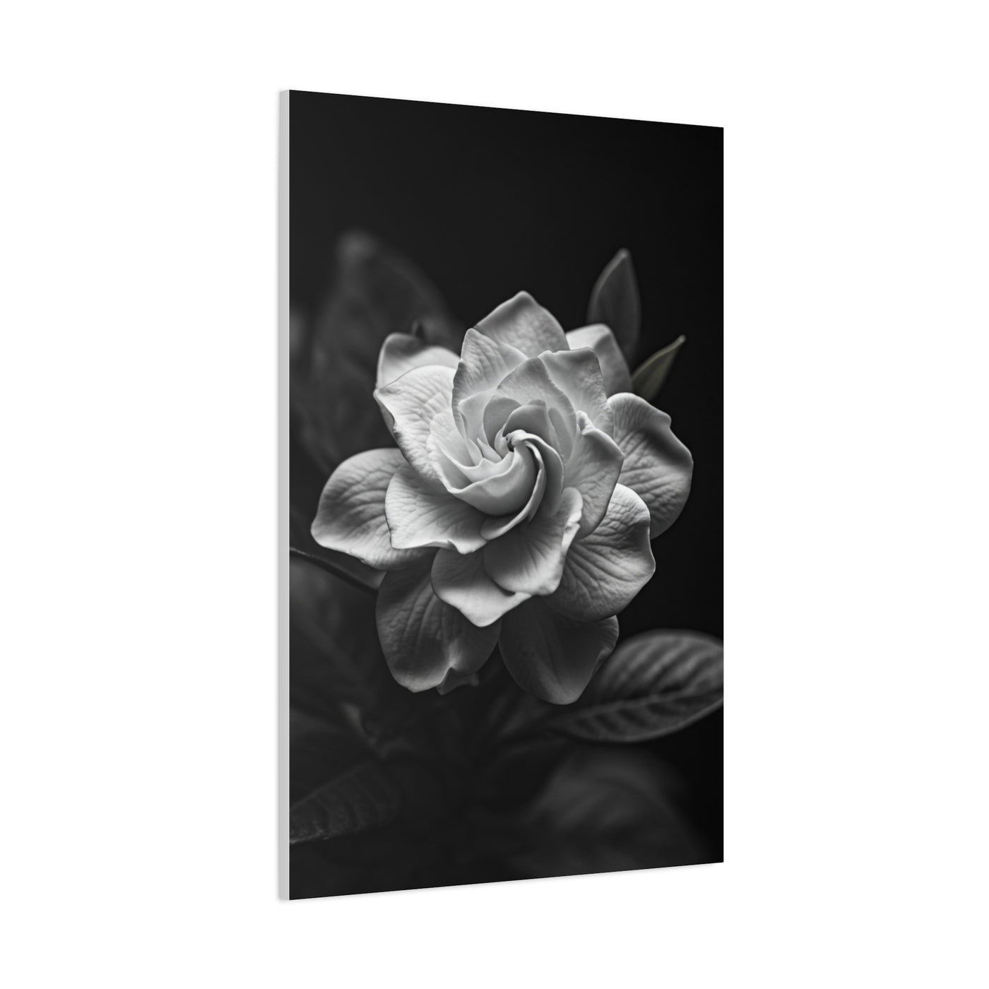 Timeless Garden Rose Portrait Wall Art & Canvas Prints