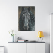 Black Horse Frontal Portrait Wall Art & Canvas Print