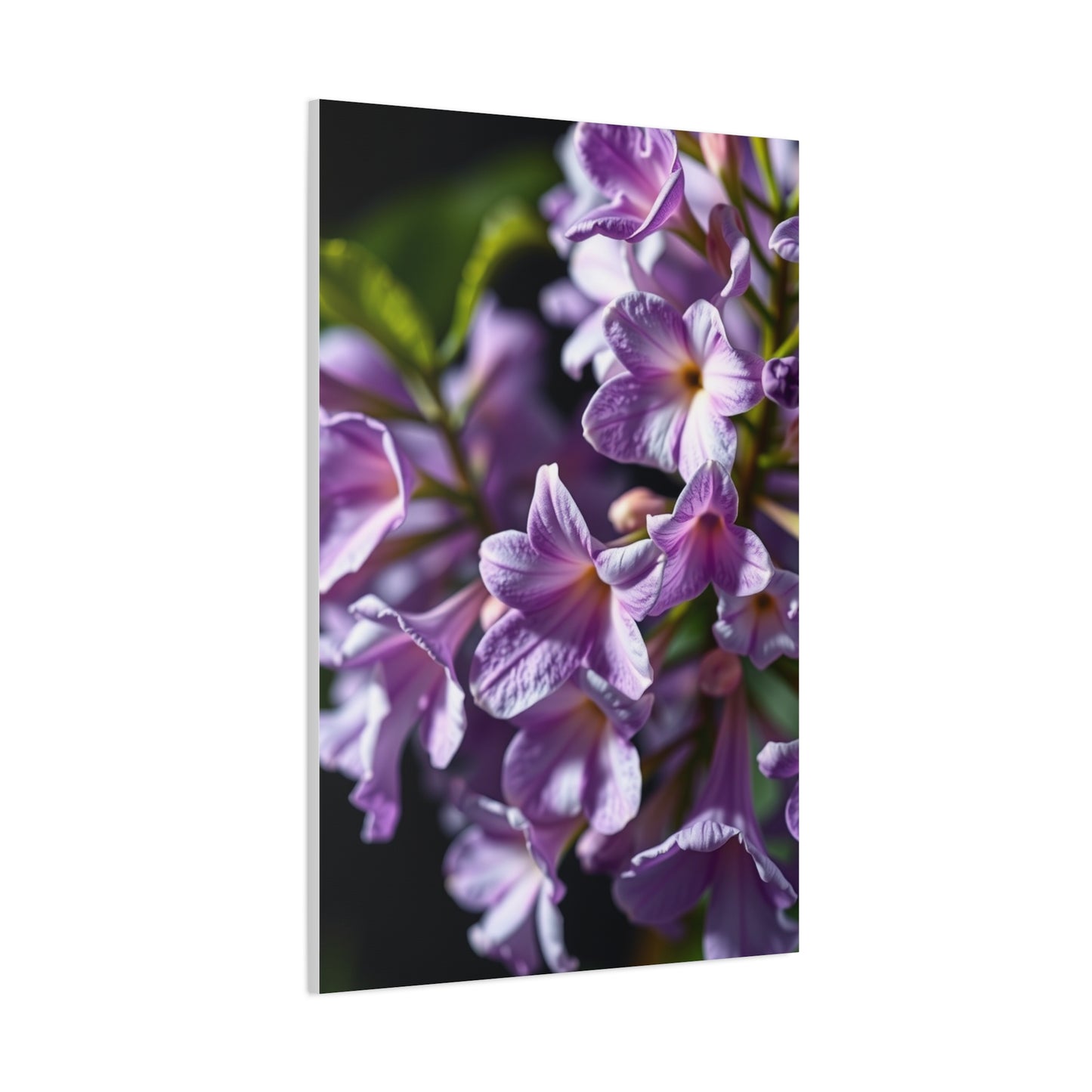 Vision Lilac Flower Art Art Wall Art & Canvas Print