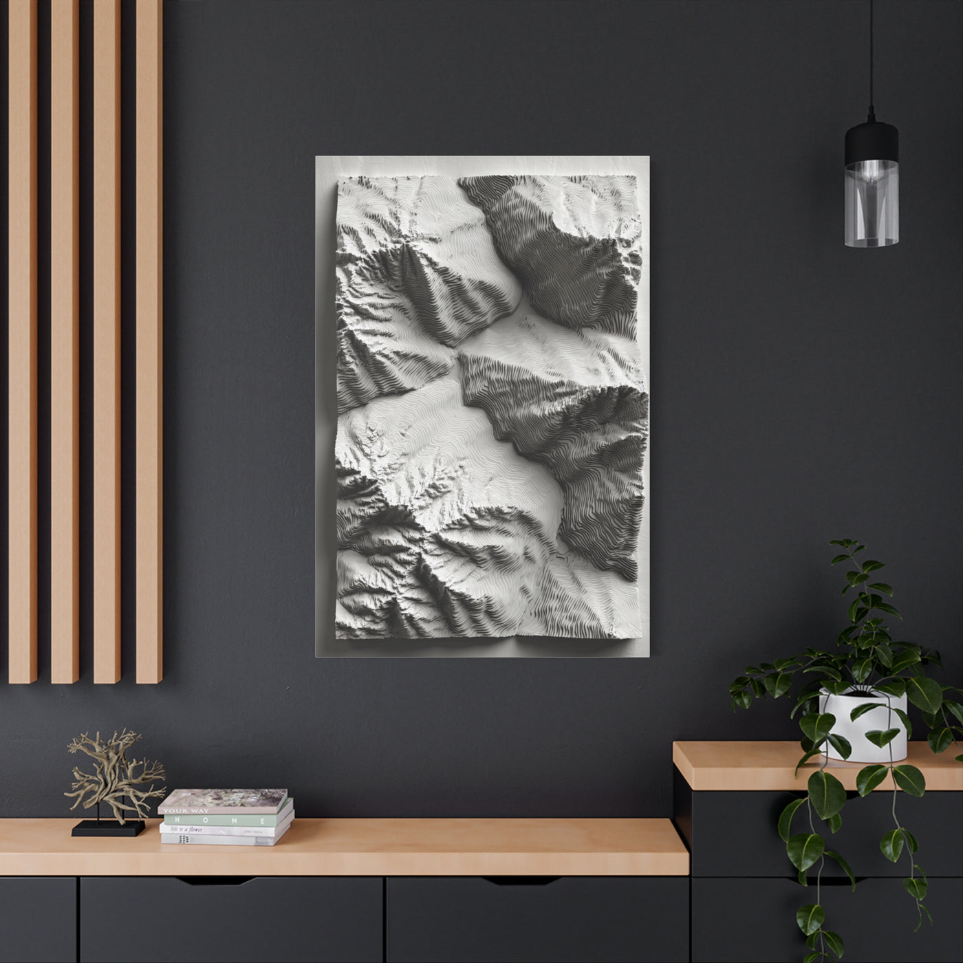 Sculpted Topographic Relief Wall Art & Canvas Print