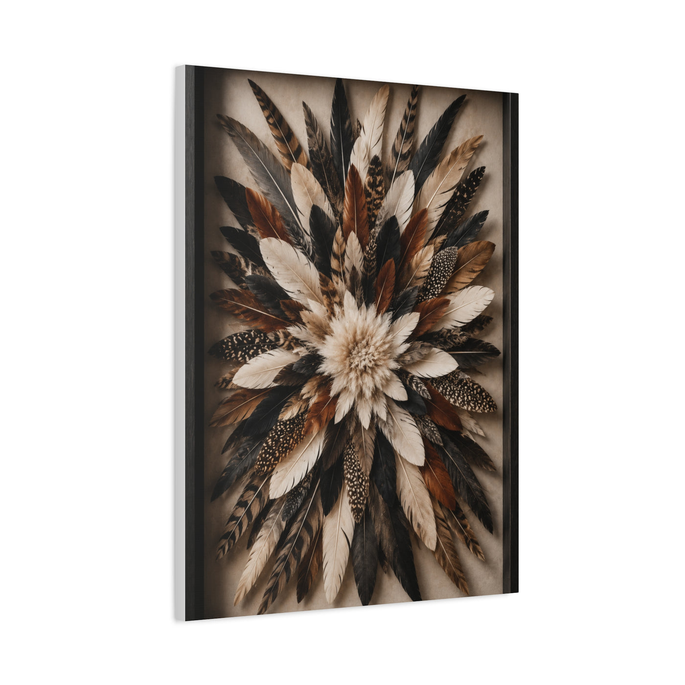 Feather Burst Rustic Shadowbox Wall Art & Canvas Print