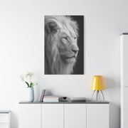 White Lion Monochrome Close Portrait Wall Art & Canvas Print