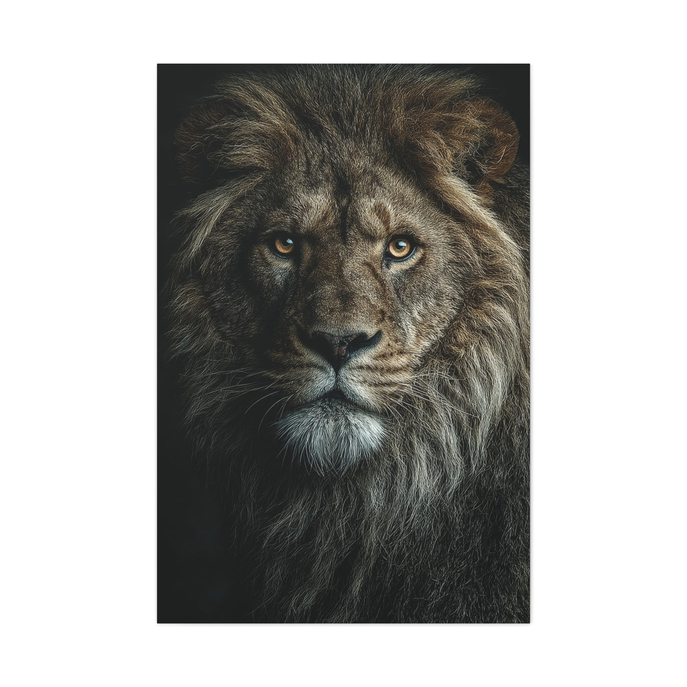 Lion Close Portrait Intense Gaze Wall Art & Canvas Print