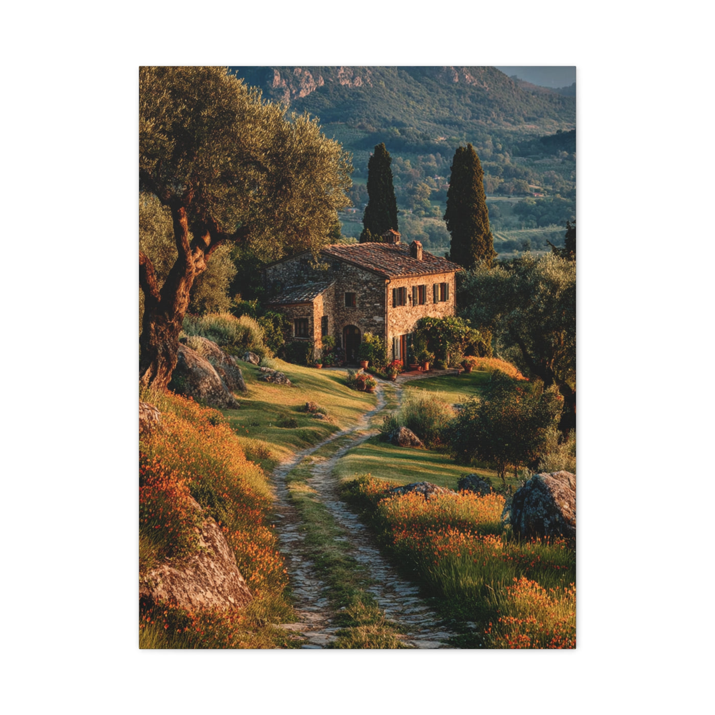 Tuscan Green Olive Grove Landscape Wall Art & Canvas Print