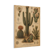 Vintage Desert Botanical Study Southwest Wall Art & Canvas Print