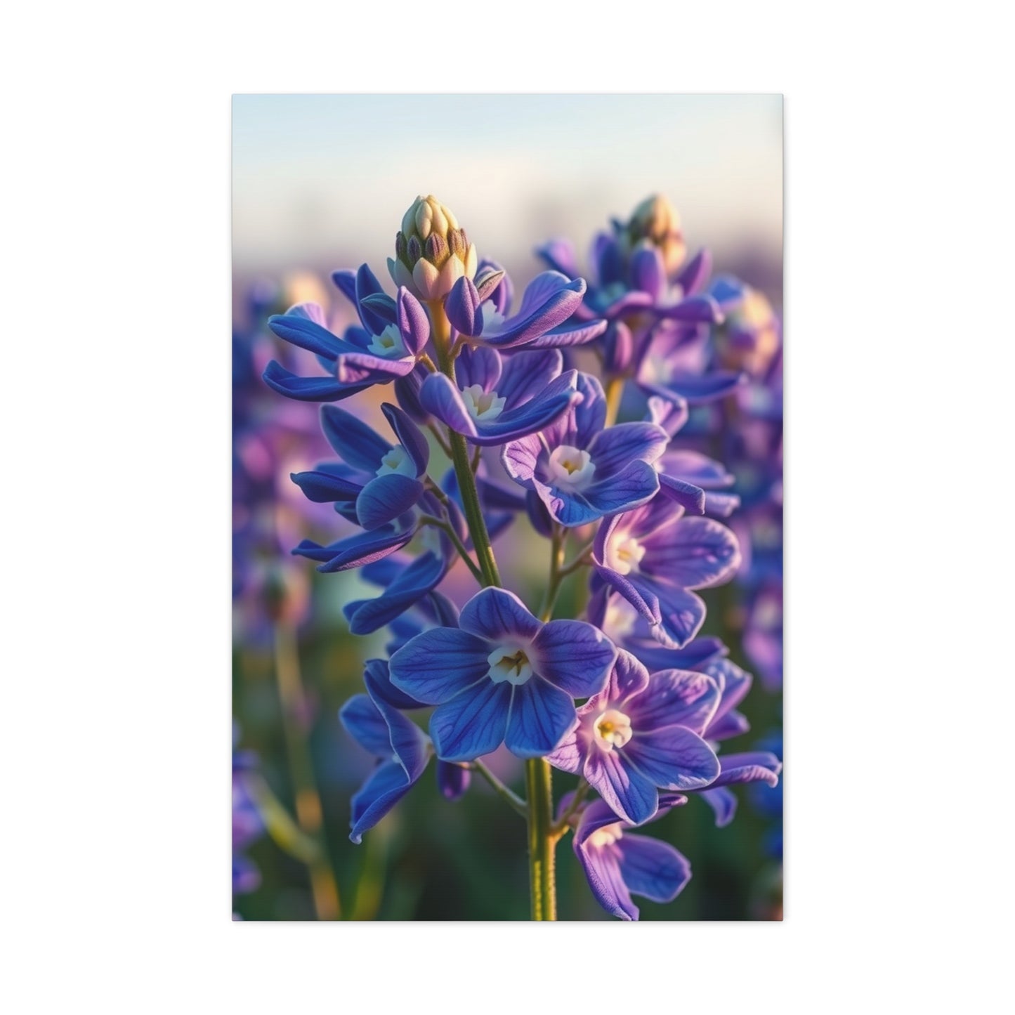 Supreme Collection Bluebonnet Flower Art Wall Art & Canvas Print