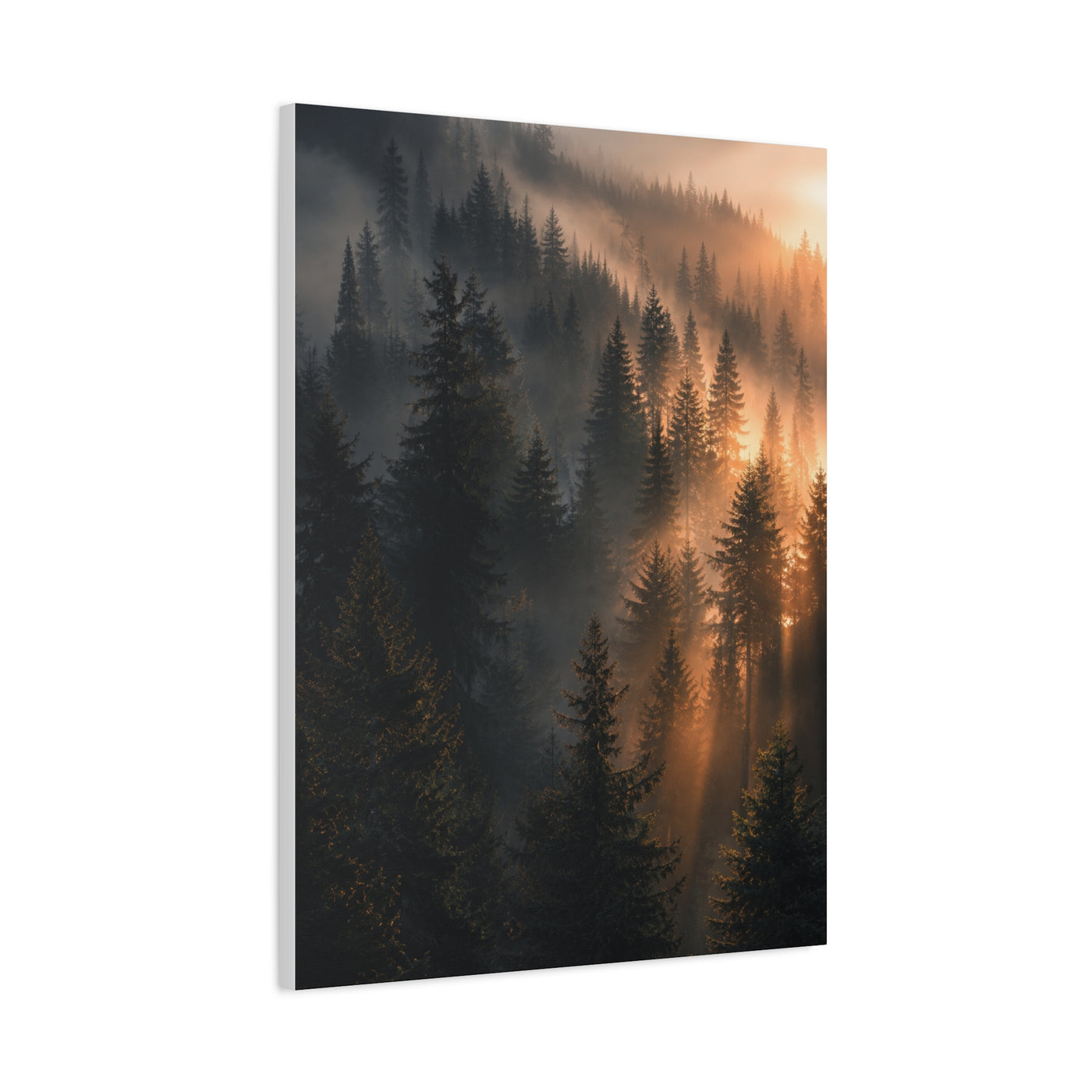 Misty Pine Forest Sunrise Depth Trees Wall Art & Canvas Print