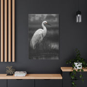 Light Grey Crane Mist Portrait Wall Art & Canvas Print