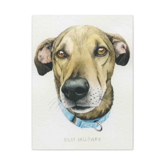 Grace Popp Wag The Dog Wall Art & Canvas Prints