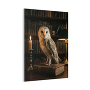 Classic Majestic Barn Owl Library Portrait Wall Art & Canvas Print