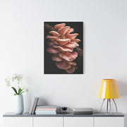 Blush Pink Oyster Mushroom Macro Study Wall Art & Canvas Print