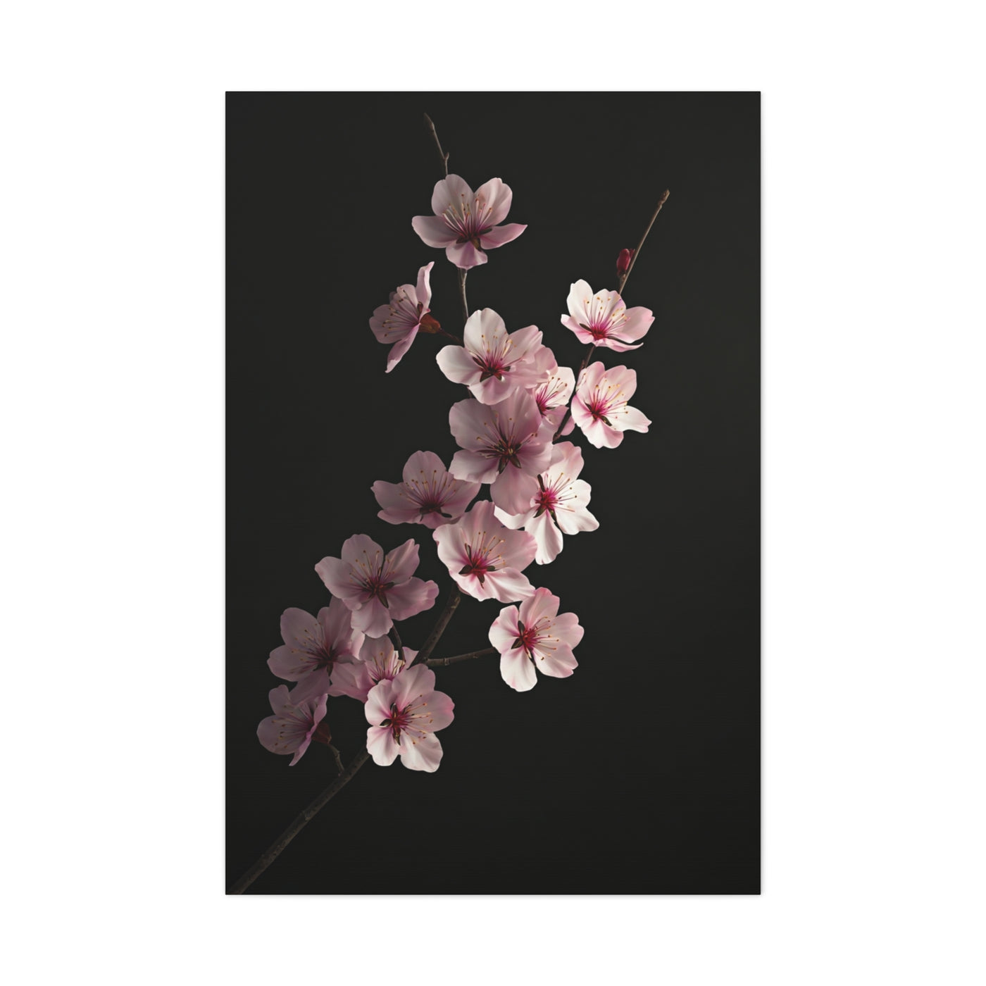 Dark Luxury Cherry Blossom Branch Wall Art & Canvas Prints