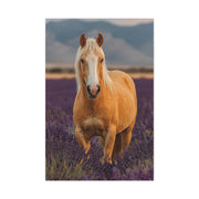 Palomino in Lavender Field Wall Art & Canvas Print