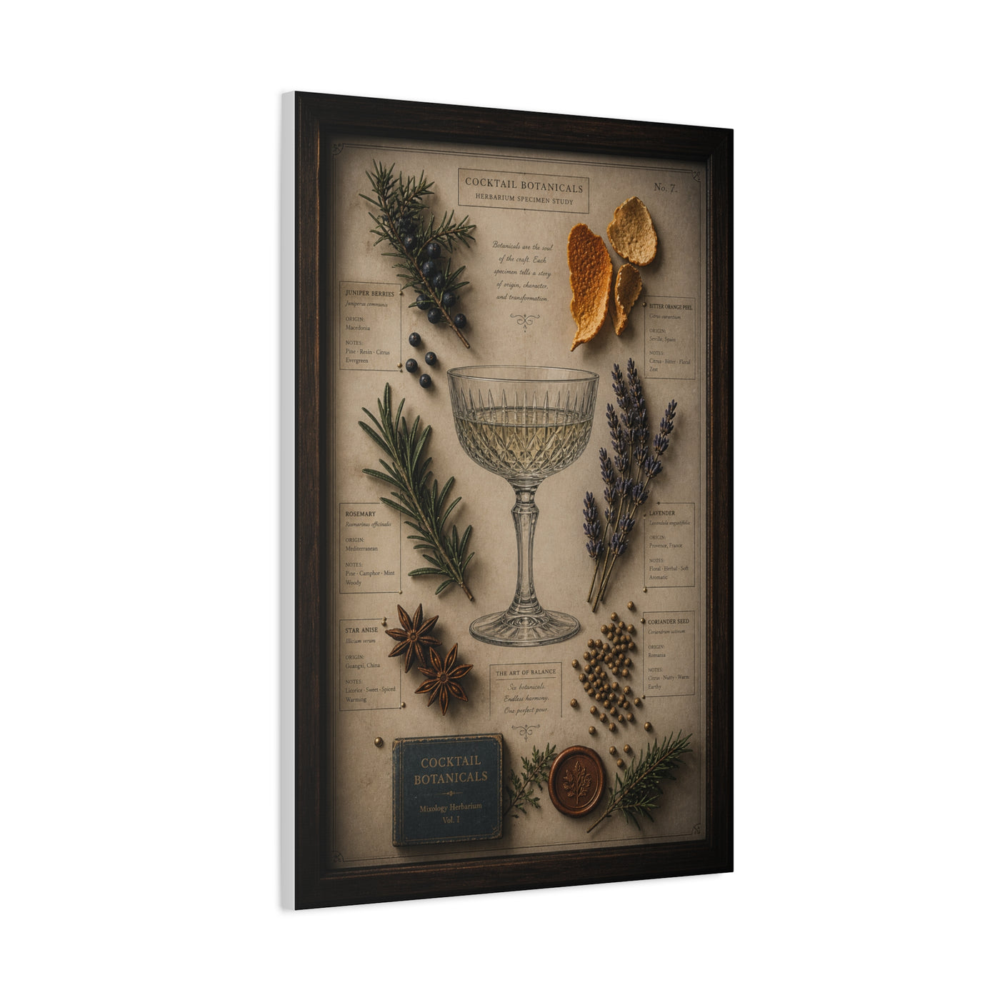 Cocktail Botanical Herbarium Study Wall Art & Canvas Print