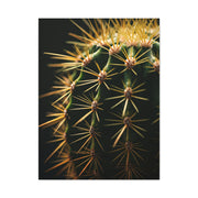 Desert Geometry Cactus Close-Up Wall Art & Canvas Prints