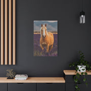 Palomino in Lavender Field Wall Art & Canvas Print