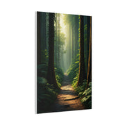 Misty Woodland Path Serenity Wall Art & Canvas Prints