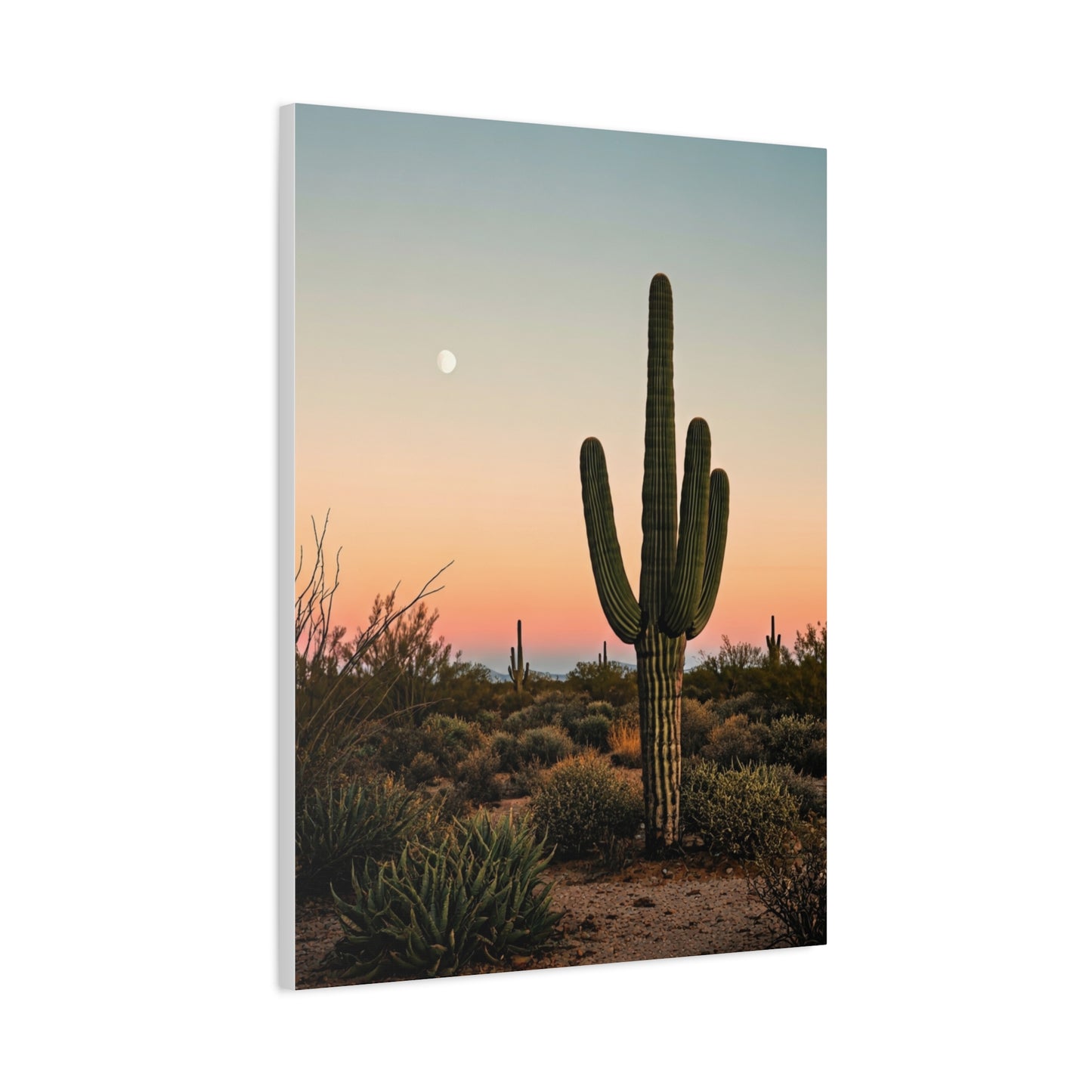 Golden Sunset Saguaro Landscape Wall Art & Canvas Prints