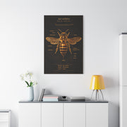 Gold Bee Entomology Study Wall Art & Canvas Print