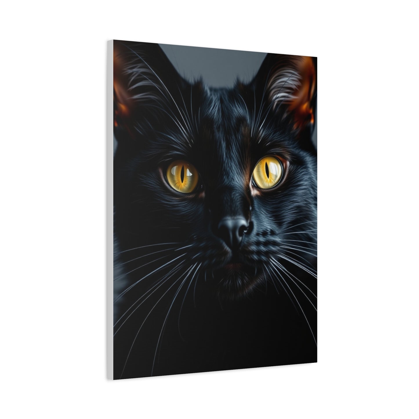 Supreme Black Cat Art Beautiful Collection Wall Art & Canvas Print