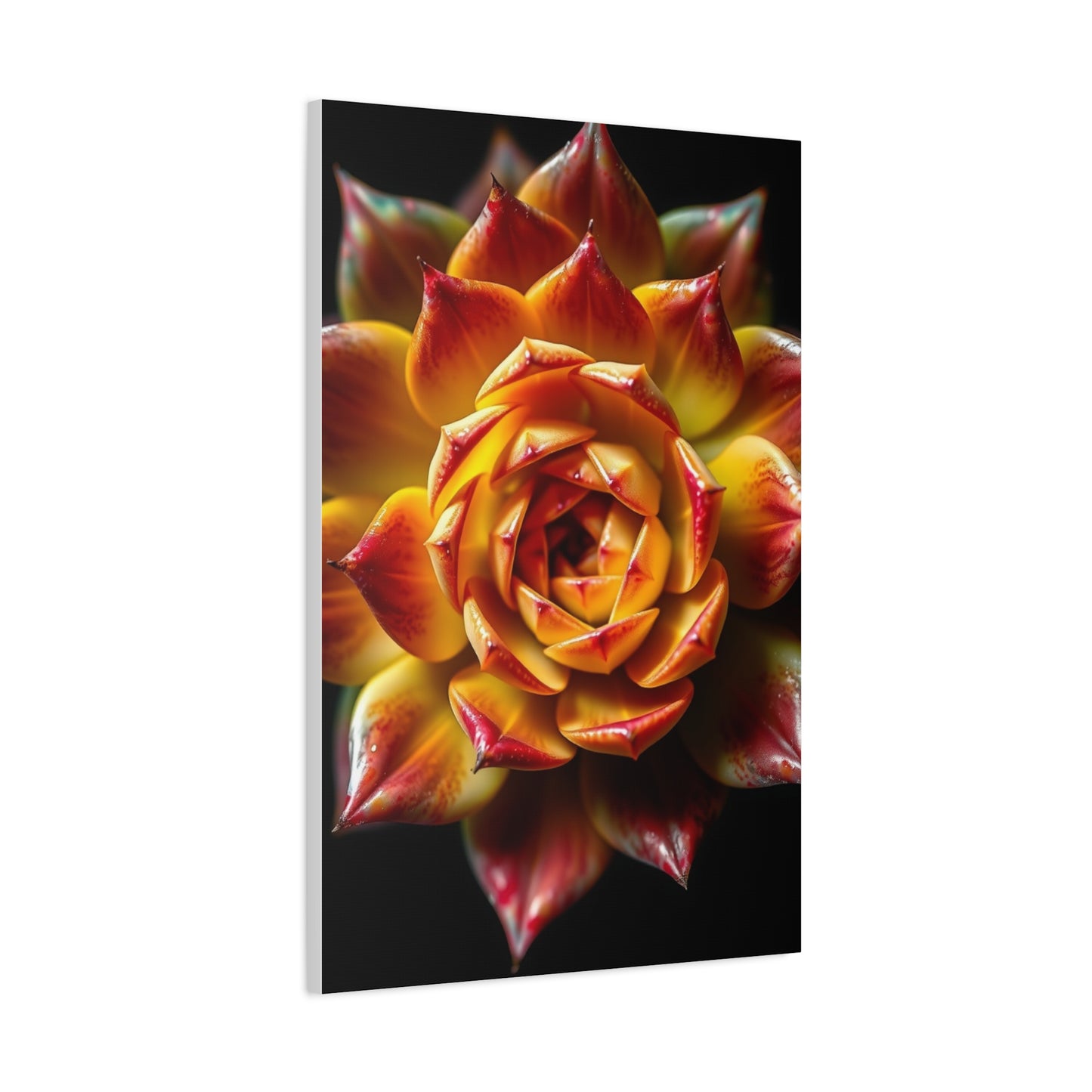 Supreme Succulent Art Beautiful Collection Wall Art & Canvas Print