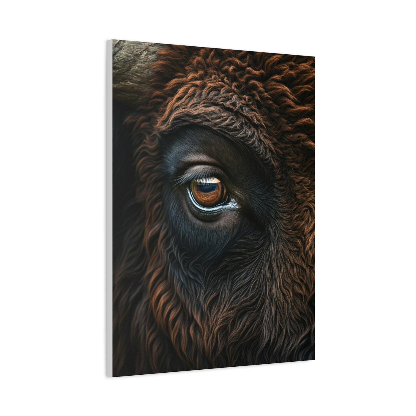 Macro Bison Eye Reflection Portrait Wall Art & Canvas Print