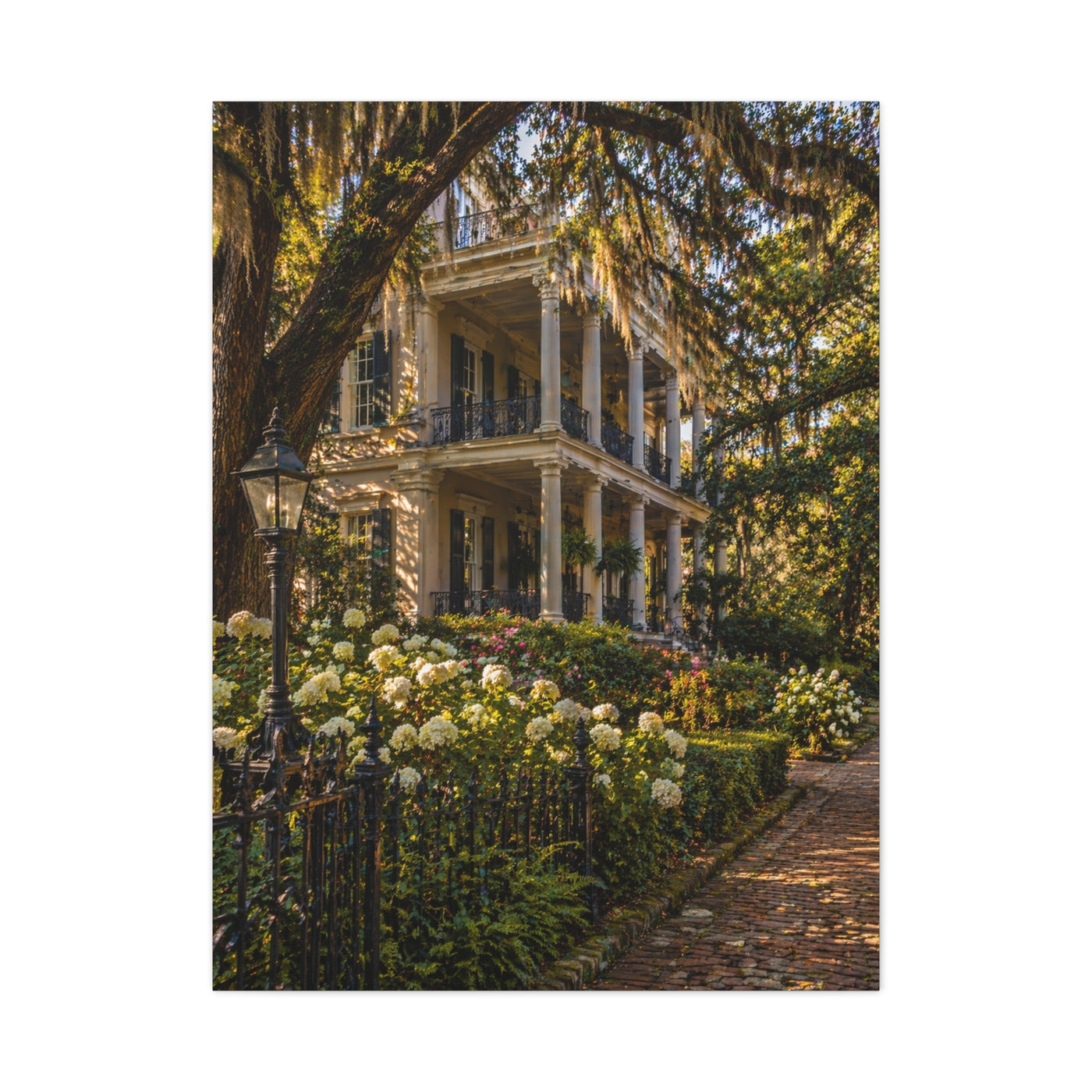 Garden District Mansion Under Live Oaks Wall Art & Canvas Print