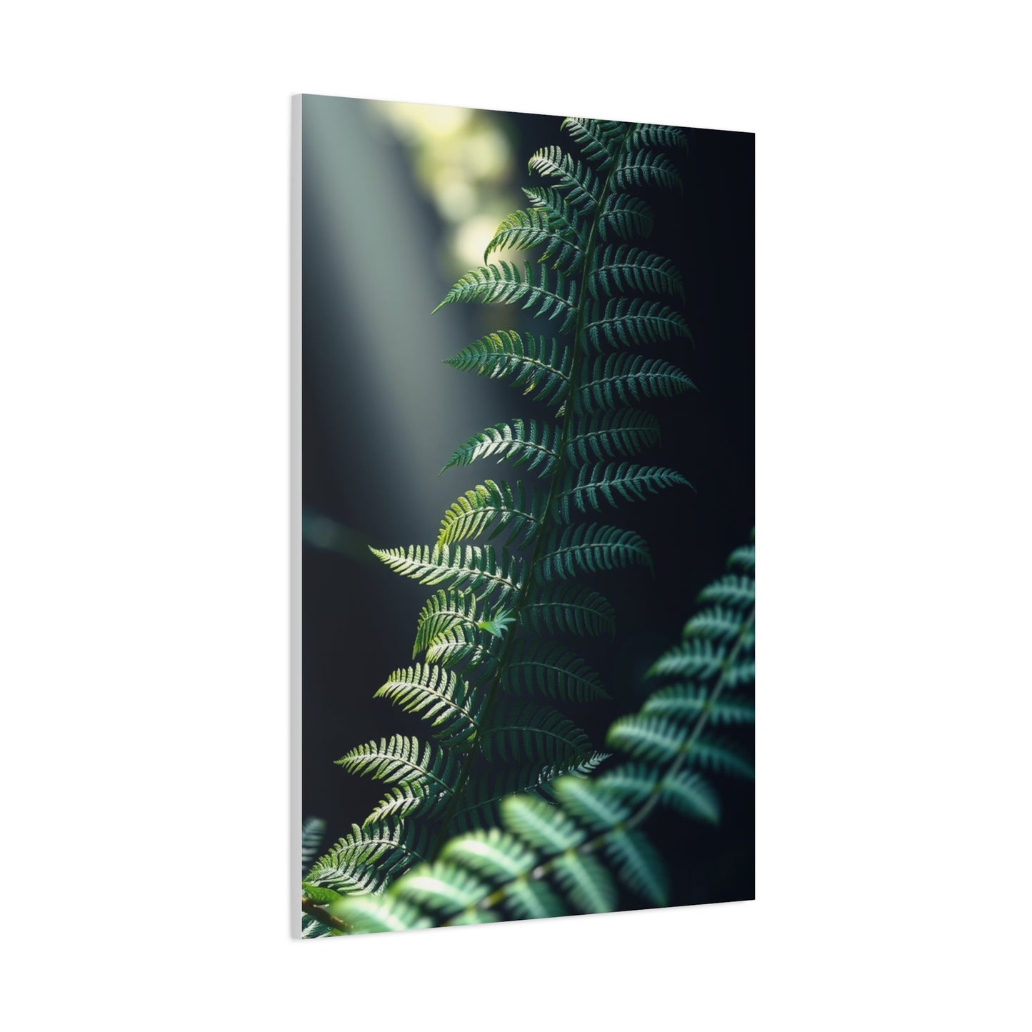 Vision Fern Art Art Wall Art & Canvas Print