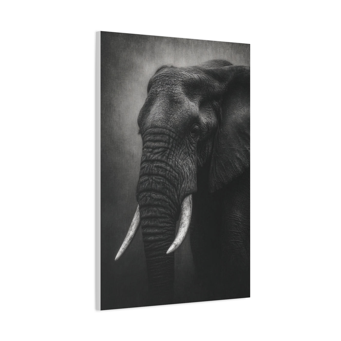Monochrome Elephant Fine Art Portrait Wall Art & Canvas Print