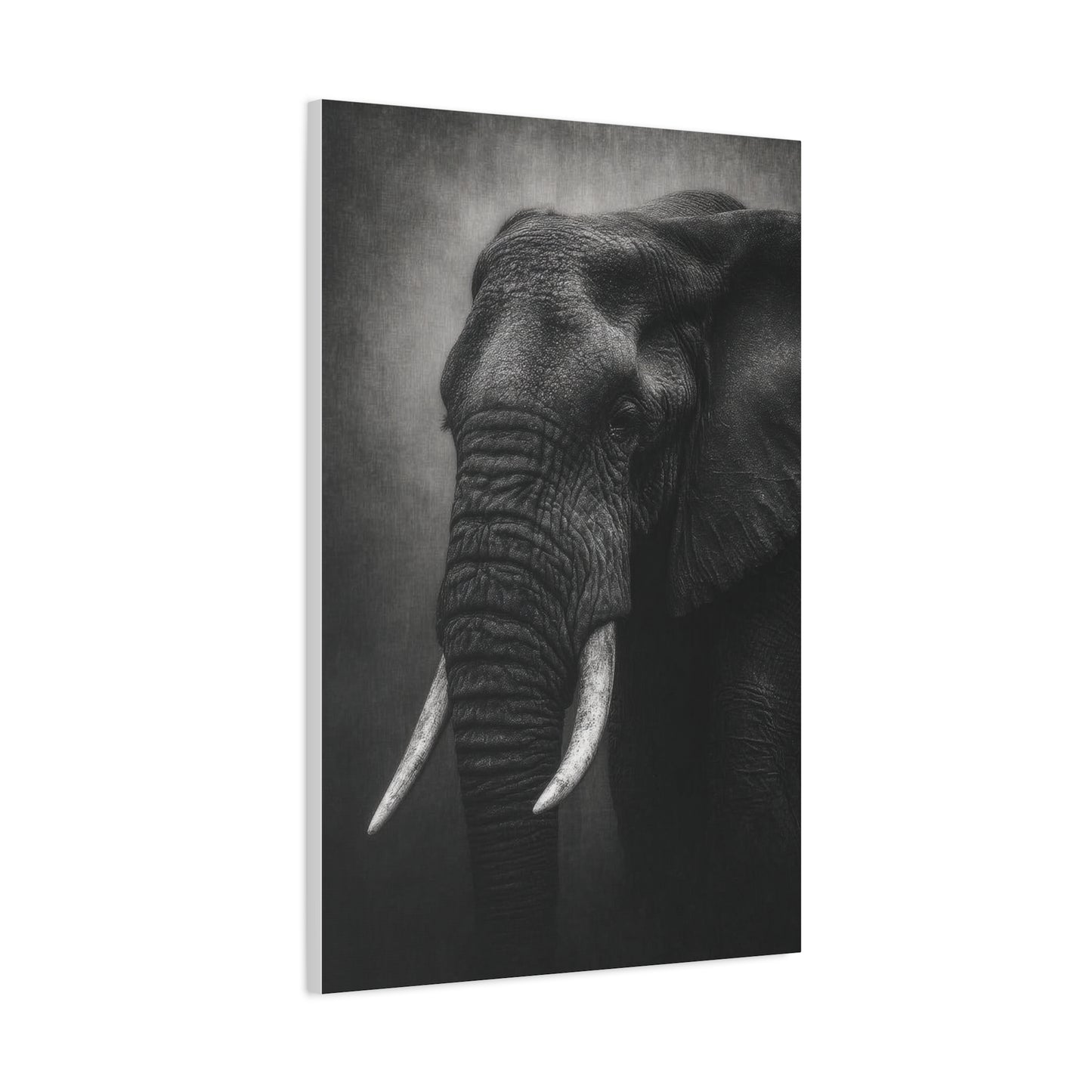 Monochrome Elephant Fine Art Portrait Wall Art & Canvas Print