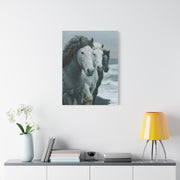 Coastal Wild Horses Storm Run Wall Art & Canvas Print
