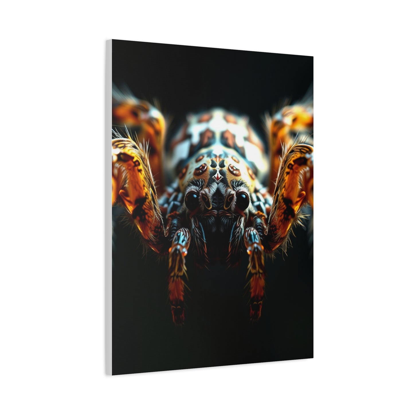 Arachnid Elegance Canvas Wall Art & Canvas Print