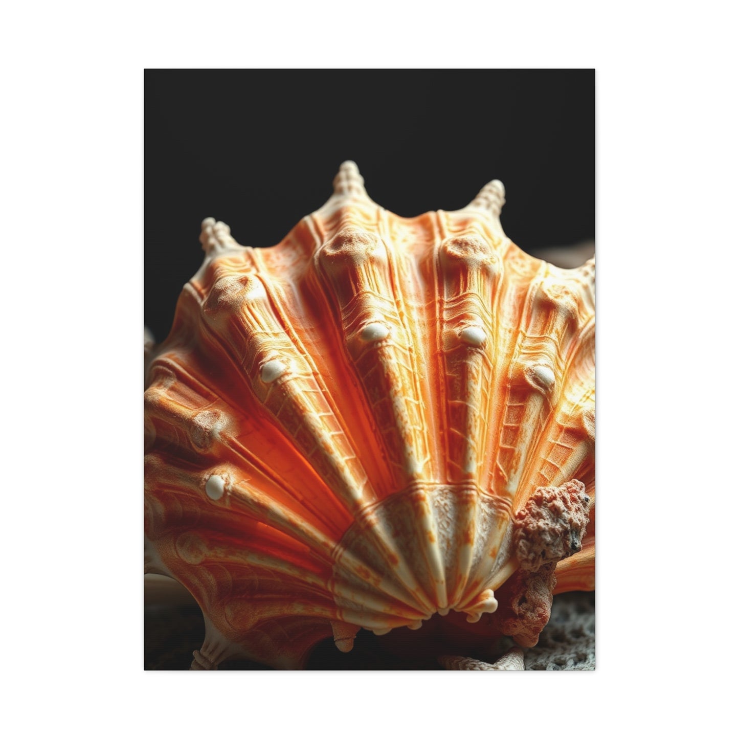Sea Shell Art Supreme Canvas Wall Art & Canvas Print