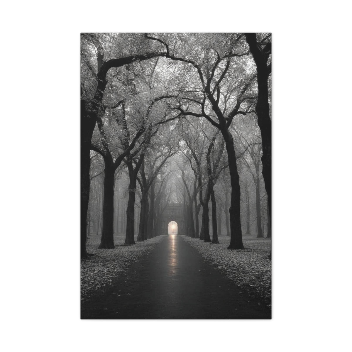 Misty Tree Avenue Monochrome Wall Art & Canvas Print