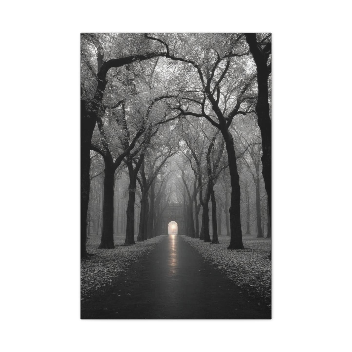 Misty Tree Avenue Monochrome Wall Art & Canvas Print