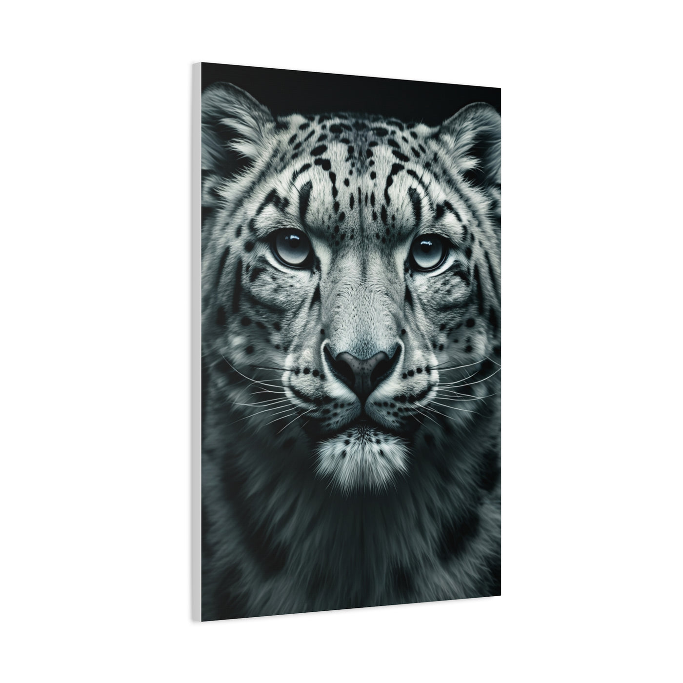 Snow Leopard Intense Gaze Wall Art & Canvas Prints