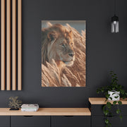 Lion in Golden Grass Calm Watch Wall Art & Canvas Print