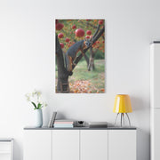 Orchard Gray Fox Climbing Apple Tree Wall Art & Canvas Print