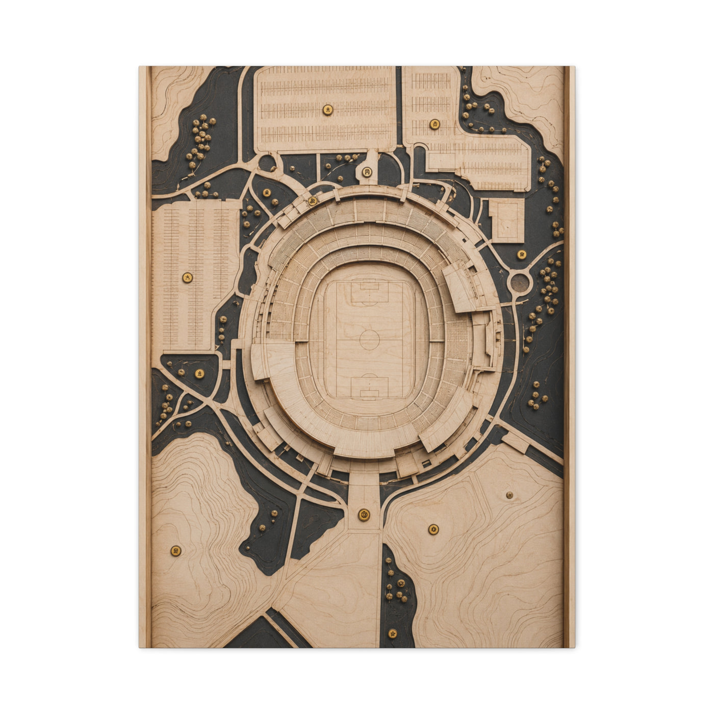 Topographic Stadium Map Sports Wall Art & Canvas Print