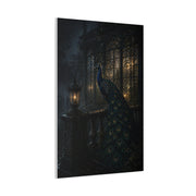 Gothic Night Peacock Balcony Wall Art & Canvas Print