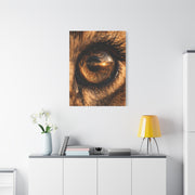 Lion Eye Reflection Macro Wall Art & Canvas Print