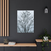 Tree of Crows Silhouette Wall Art & Canvas Print