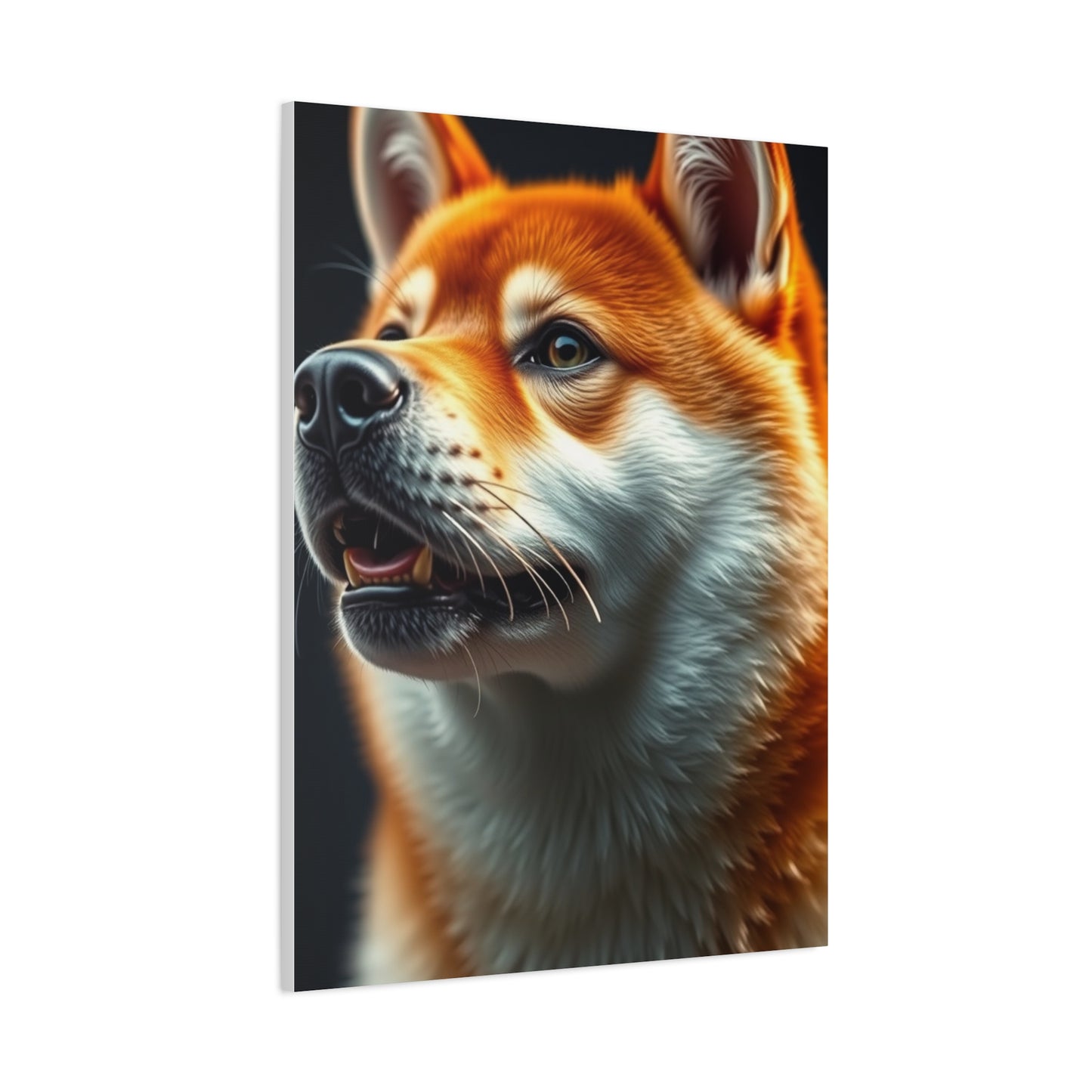 Shiba Inu Dog Art Supreme Canvas Wall Art & Canvas Print