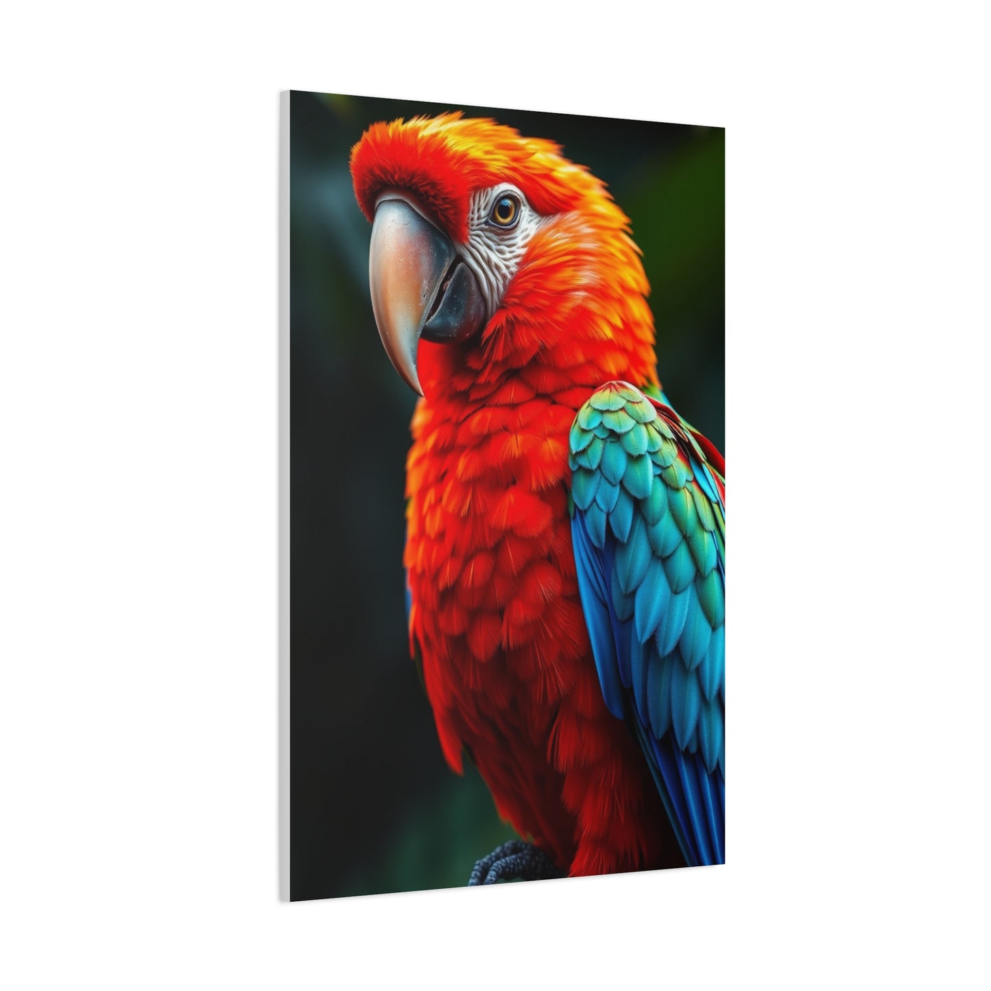 Supreme Tropical Birds Art Beautiful Collection Wall Art & Canvas Print