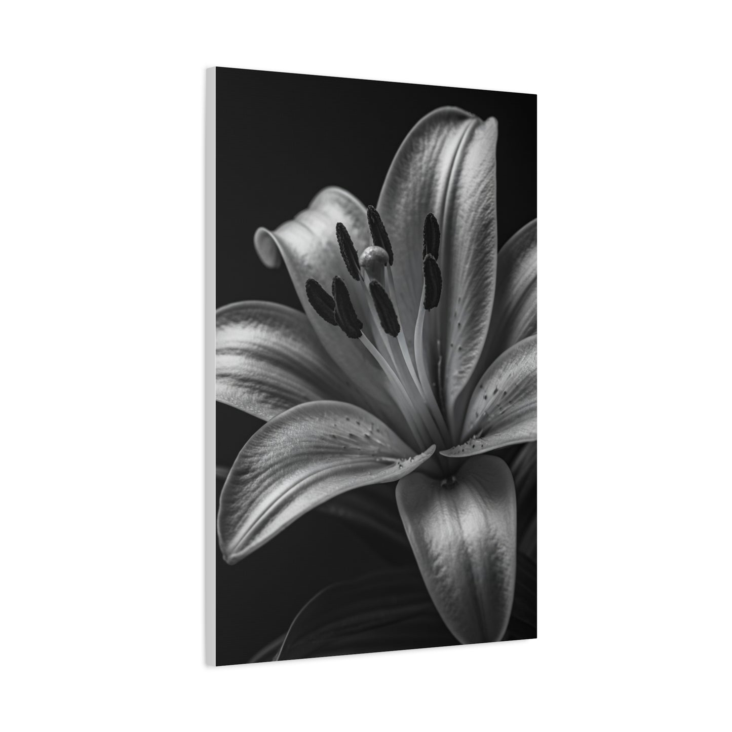 Lavender Silhouette in Low Light Wall Art & Canvas Prints