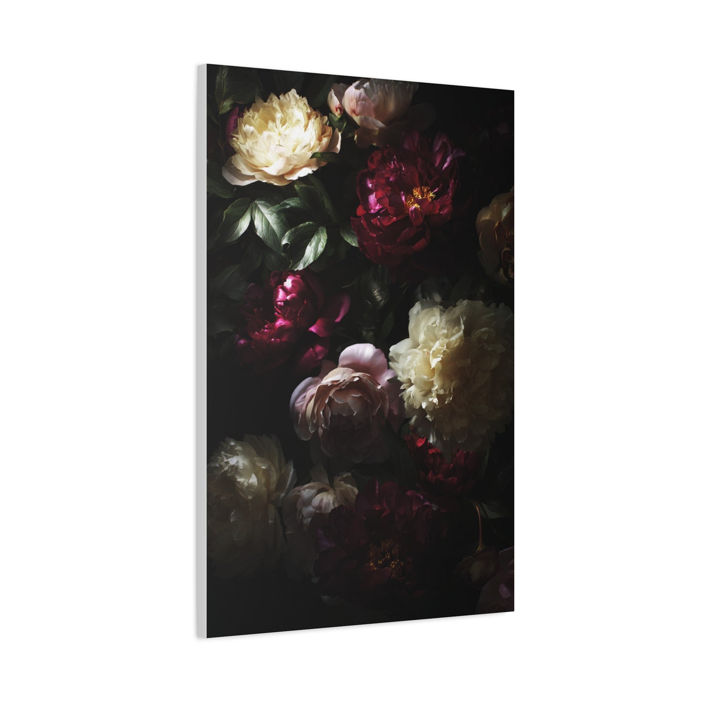 Luminous Peonies on Dark Background Wall Art & Canvas Print