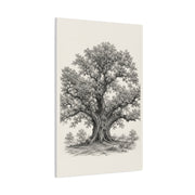 Detailed Engraved Oak Study Trees Wall Art & Canvas Print
