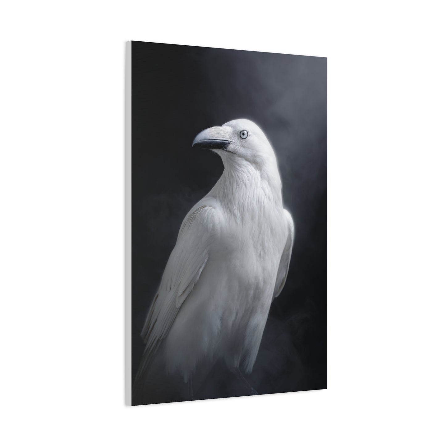 Elegant White Raven Portrait Wall Art & Canvas Print